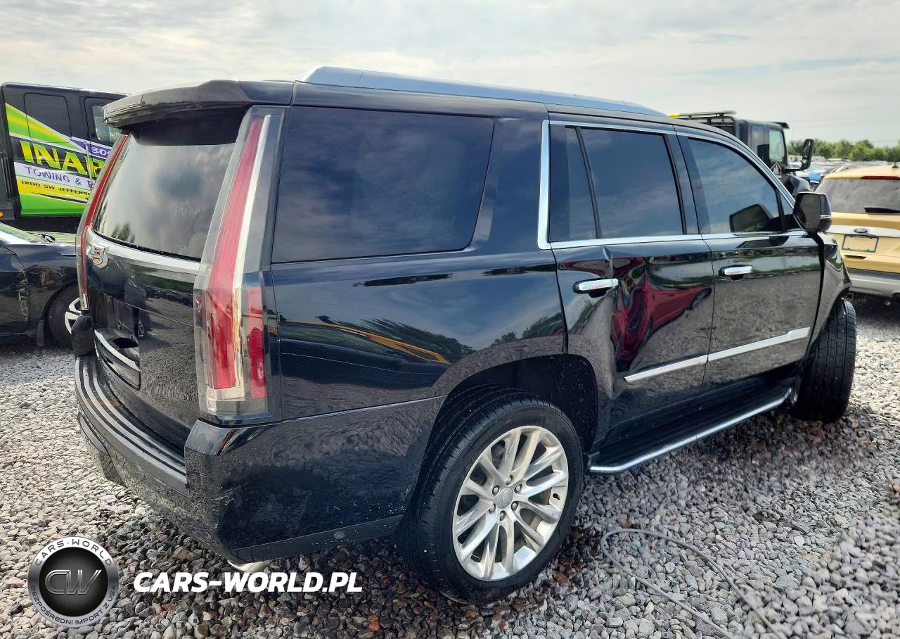 2019 Cadillac Escalade Luxury VIN:1GYS4BKJ3KR162423 - 3