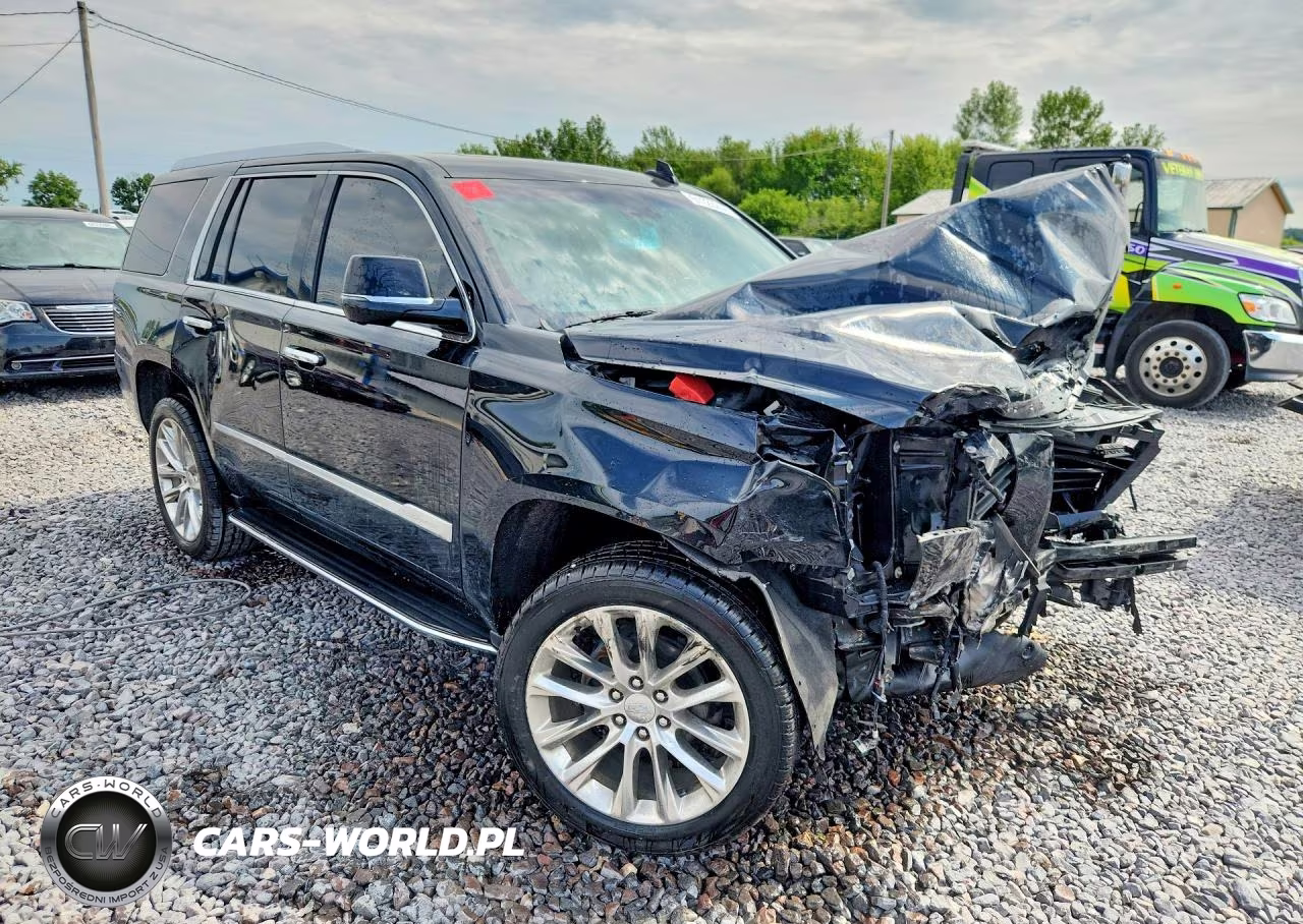 2019 Cadillac Escalade Luxury VIN:1GYS4BKJ3KR162423 - 4
