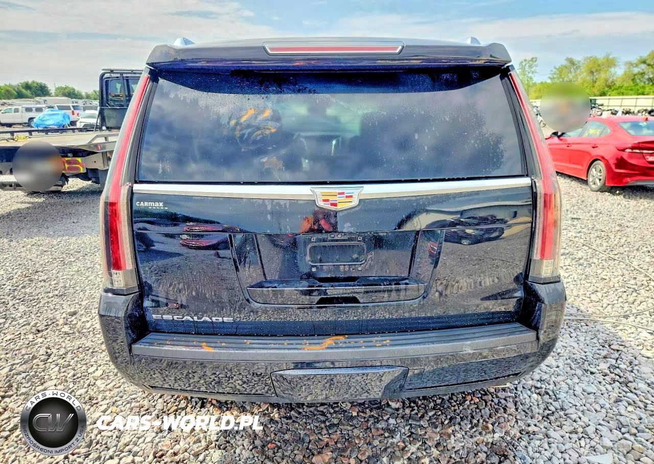 2019 Cadillac Escalade Luxury VIN:1GYS4BKJ3KR162423 - 6