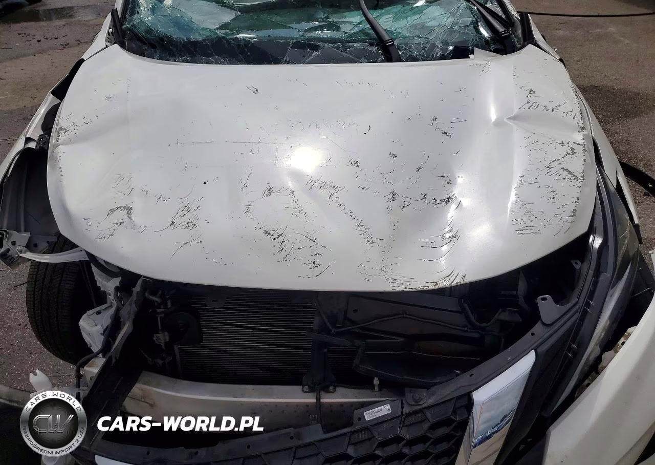 2019 Nissan Murano Sl VIN:5N1AZ2MJ8KN129260 - 12