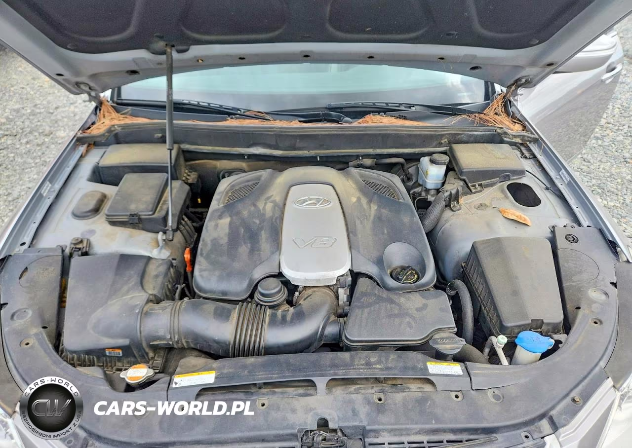 2009 Hyundai Genesis 4.6L VIN:KMHGC46F19U034457 - 11