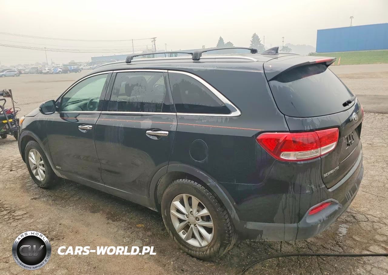2017 Kia Sorento Lx VIN:5XYPGDA30HG276436 - 2