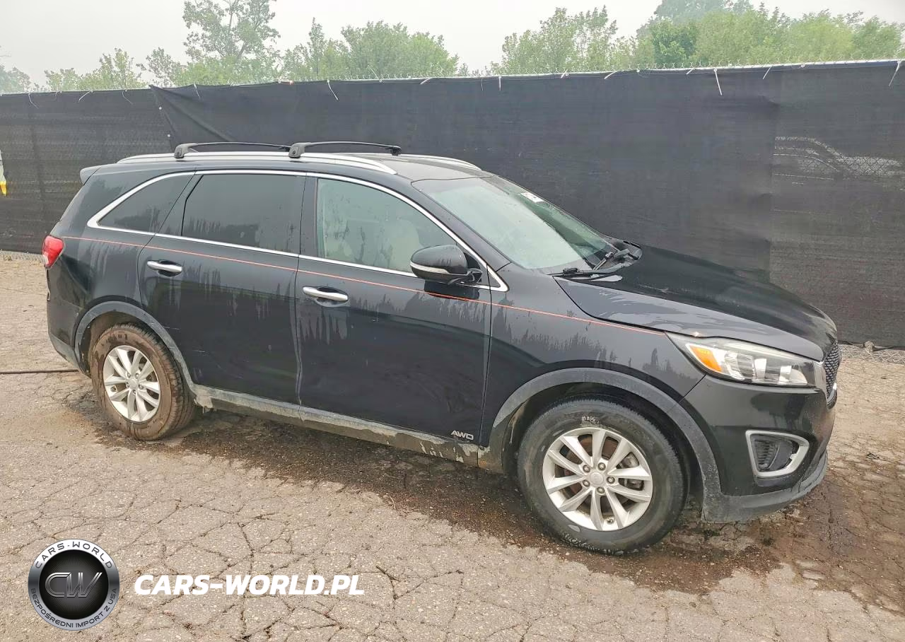 2017 Kia Sorento Lx VIN:5XYPGDA30HG276436 - 4
