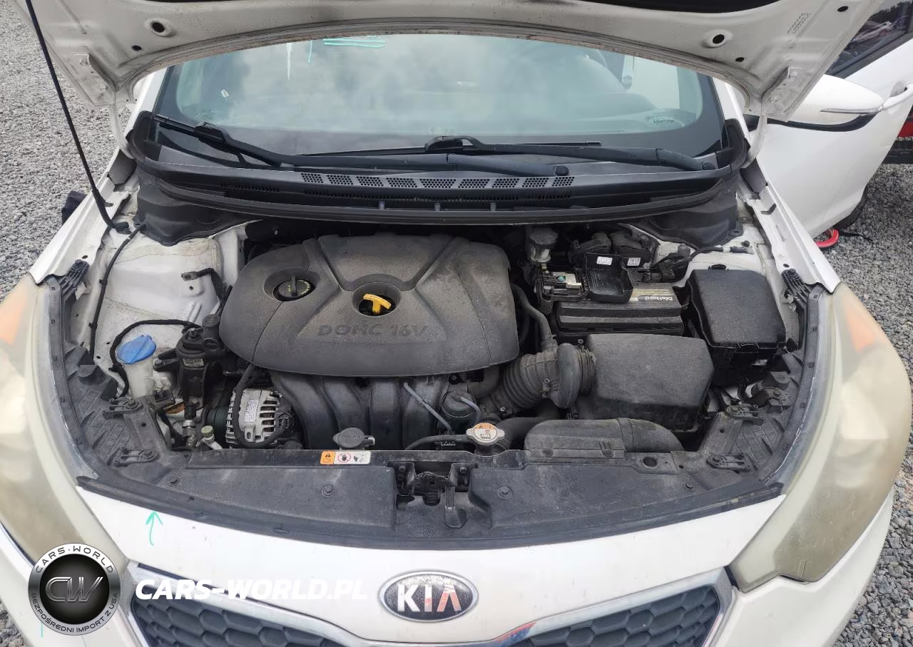 2014 Kia Forte Lx VIN:KNAFX4A67E5150422 - 11