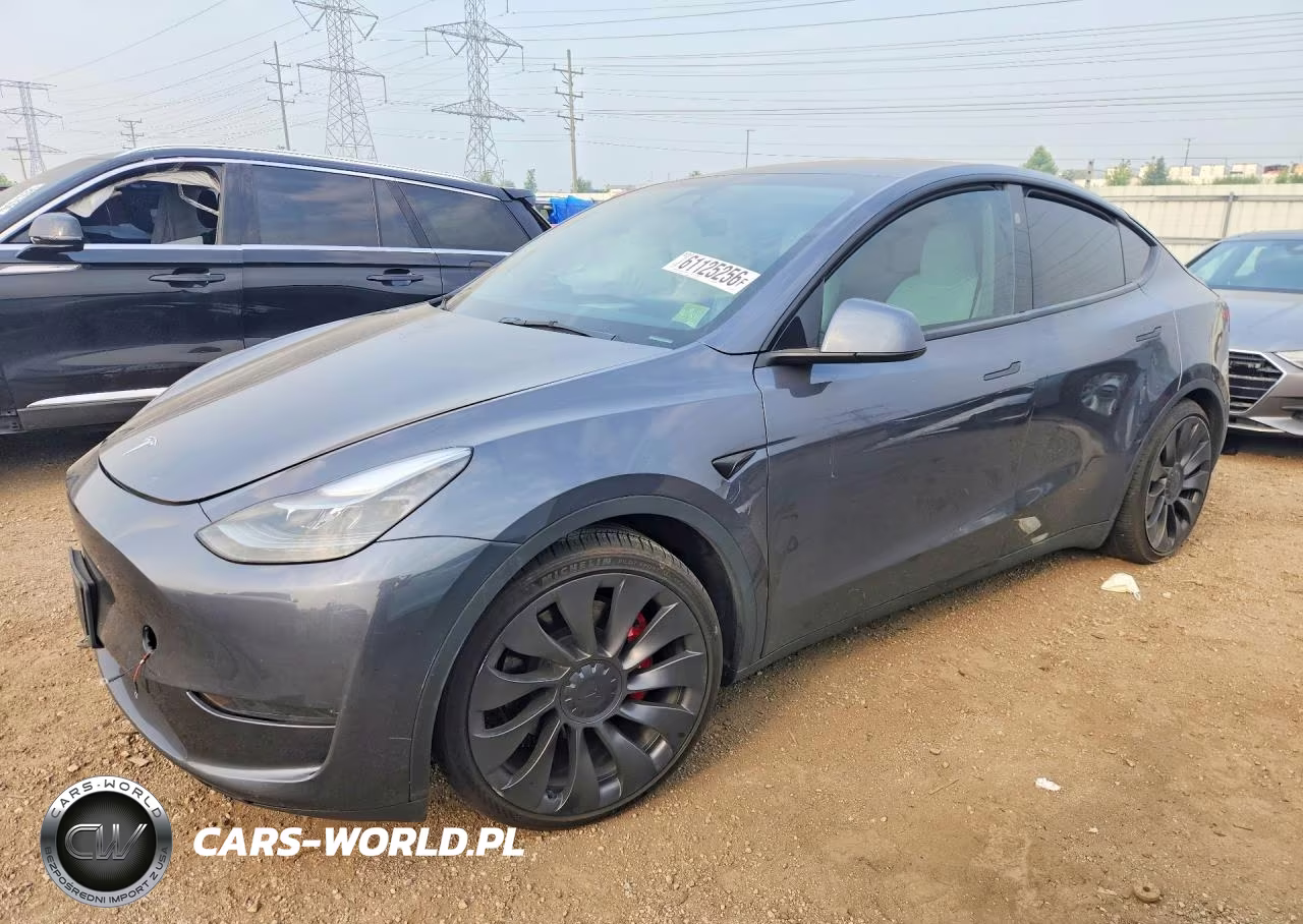 2023 Tesla Model Y VIN:7SAYGDEFXPF858898 - 1