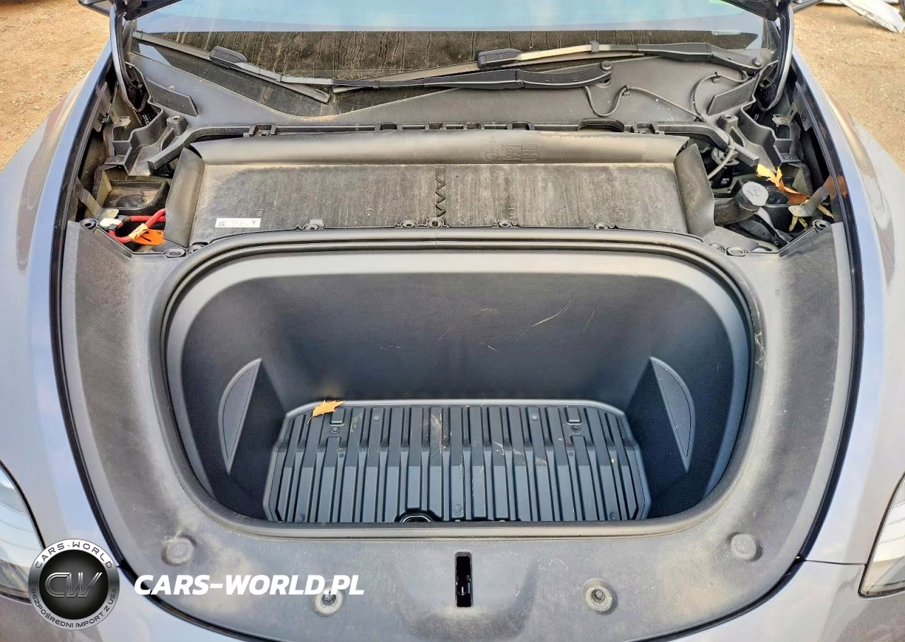 2023 Tesla Model Y VIN:7SAYGDEFXPF858898 - 11