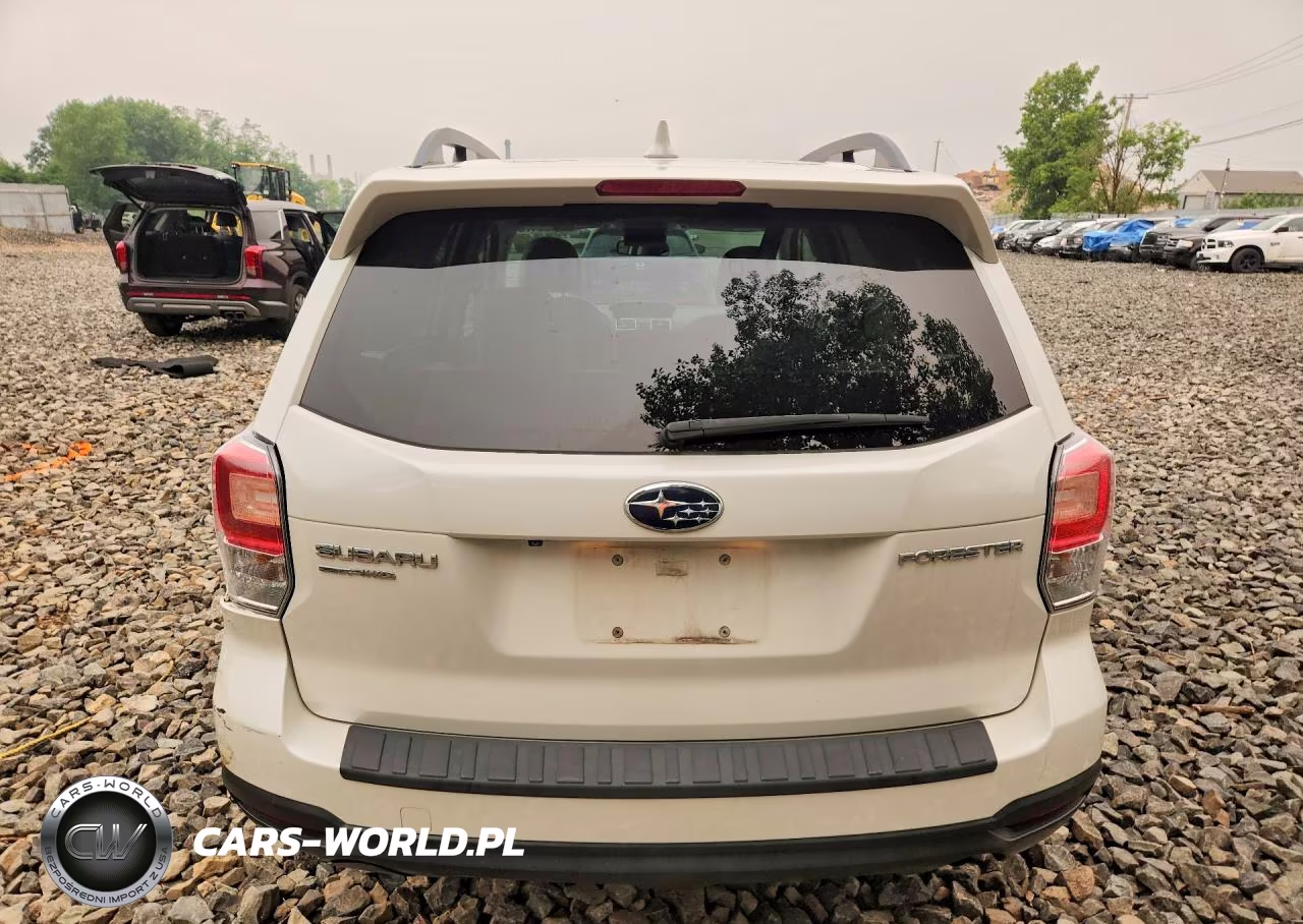 2018 Subaru Forester 2.5I Premium VIN:JF2SJAEC8JH516013 - 6