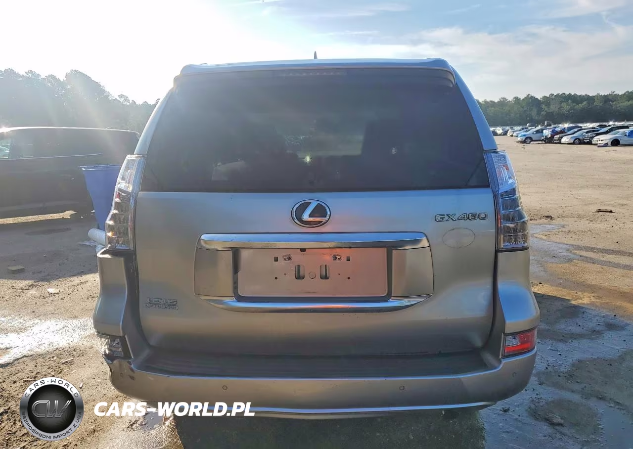 2020 Lexus Gx 460 Premium VIN:JTJAM7BX3L5246492 - 6