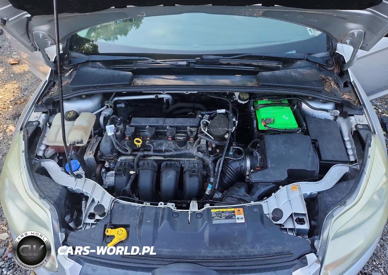 2014 Ford Focus Se VIN:1FADP3F20EL259817 - 11