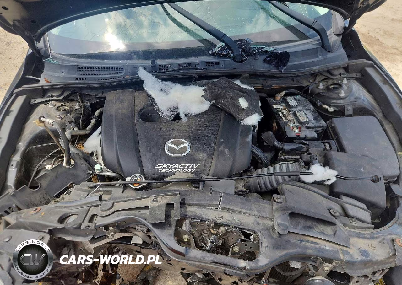 2014 Mazda 3 Touring VIN:JM1BM1V71E1145414 - 11