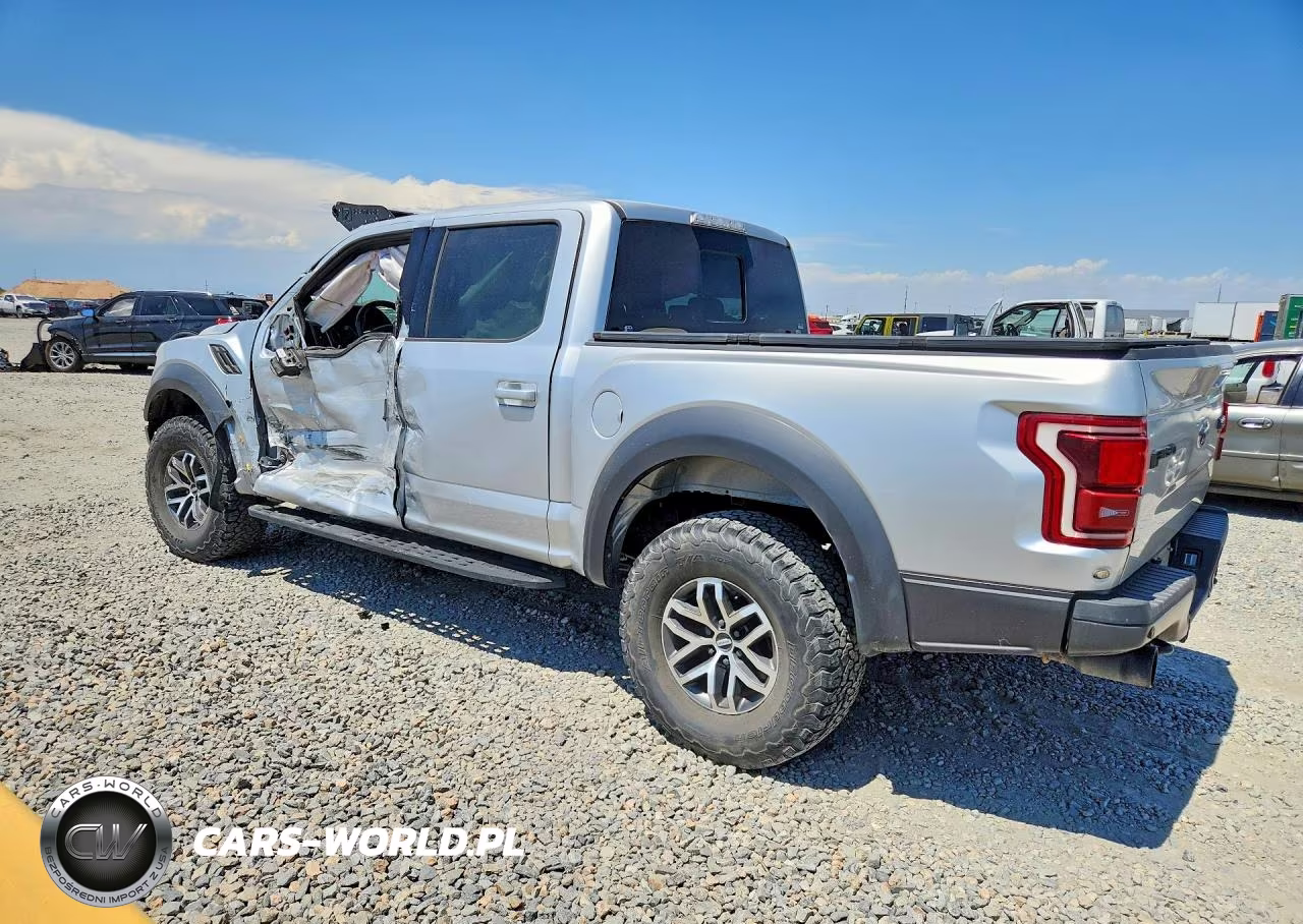 2017 Ford F150 Raptor VIN:1FTFW1RG6HFC03126 - 2