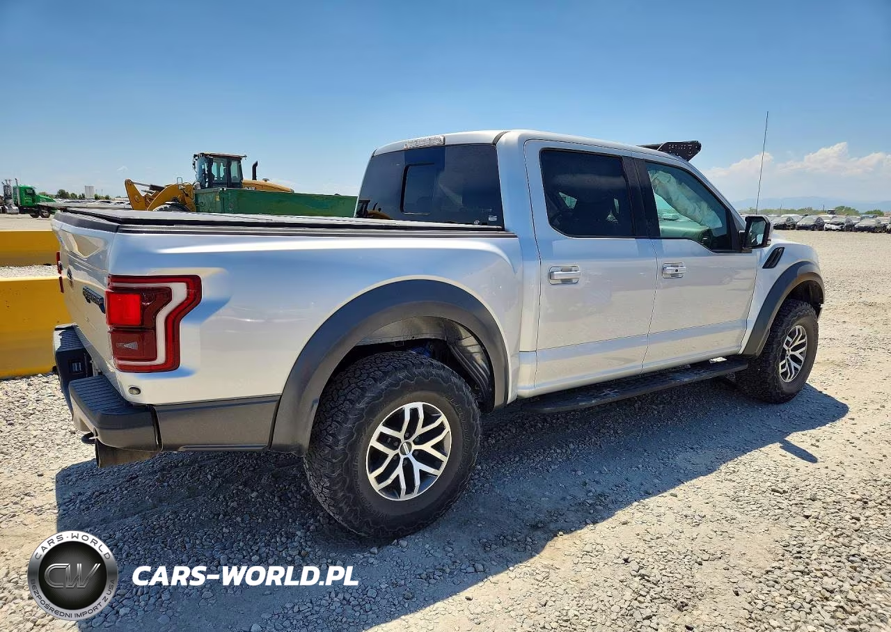 2017 Ford F150 Raptor VIN:1FTFW1RG6HFC03126 - 3