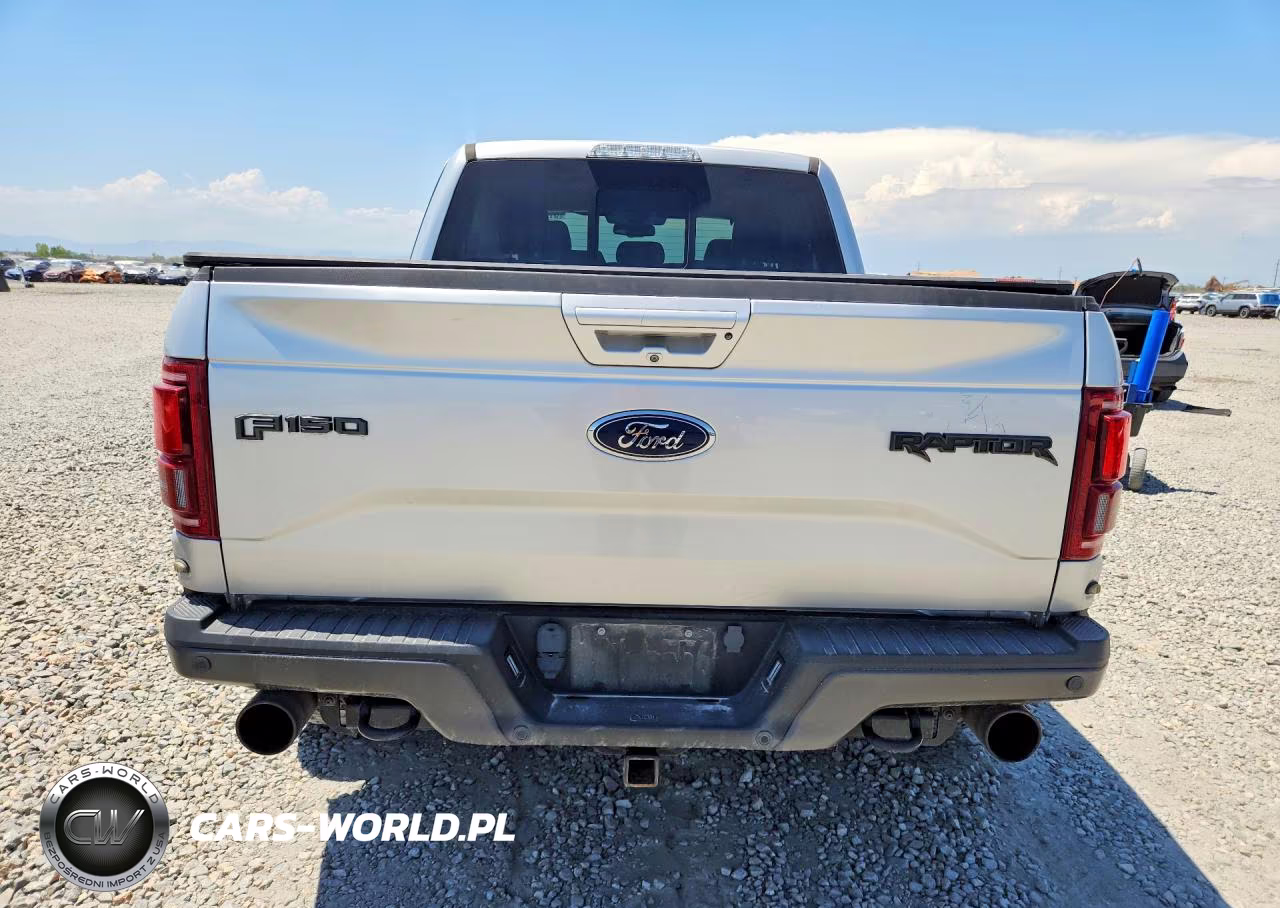 2017 Ford F150 Raptor VIN:1FTFW1RG6HFC03126 - 6