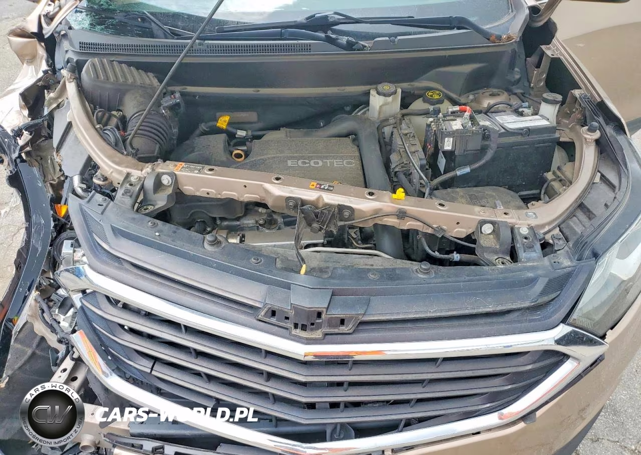 2019 Chevrolet Equinox Lt VIN:2GNAXKEV6K6289645 - 12