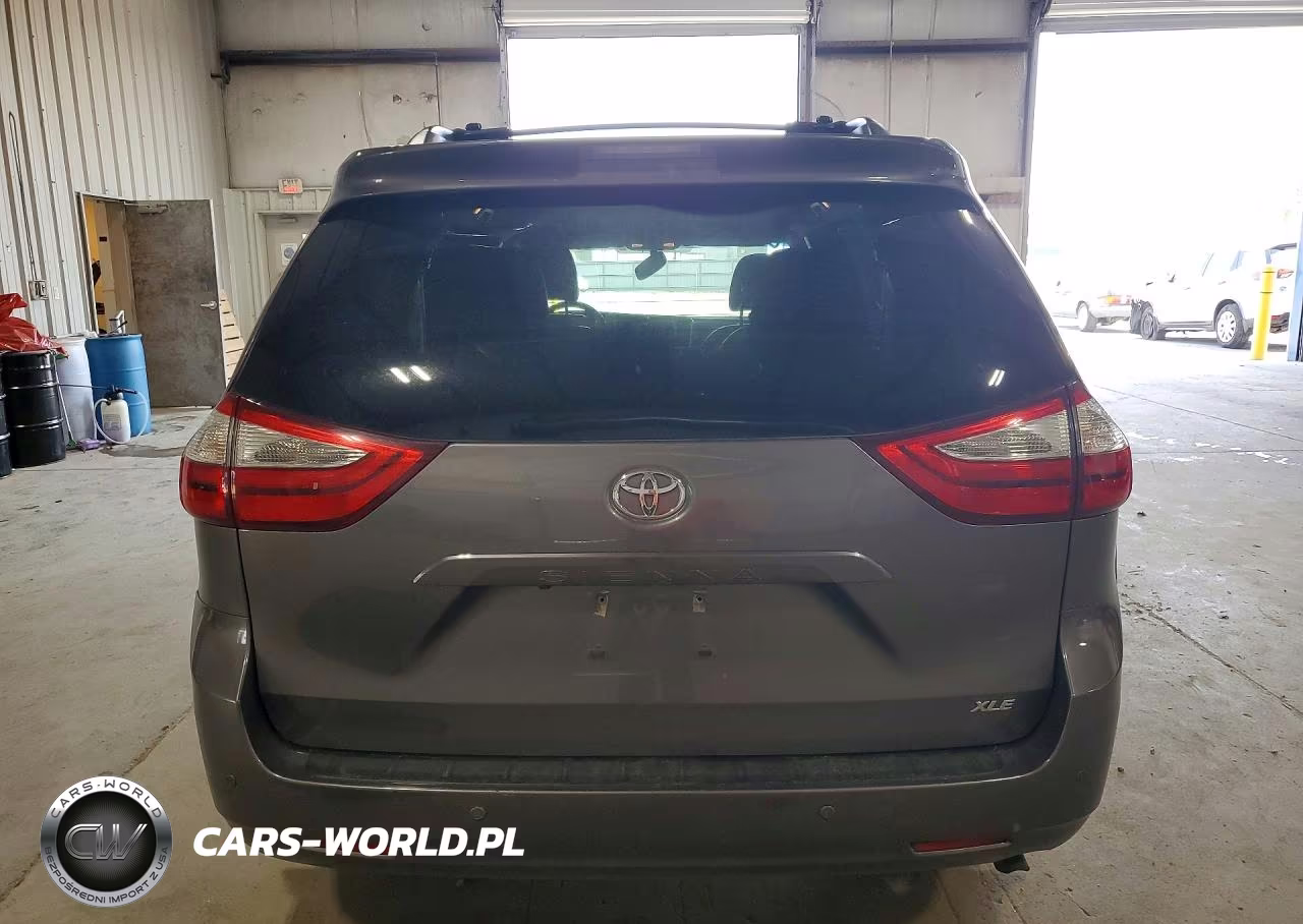 2017 Toyota Sienna Xle 8-Passenger VIN:5TDYZ3DC0HS893407 - 6