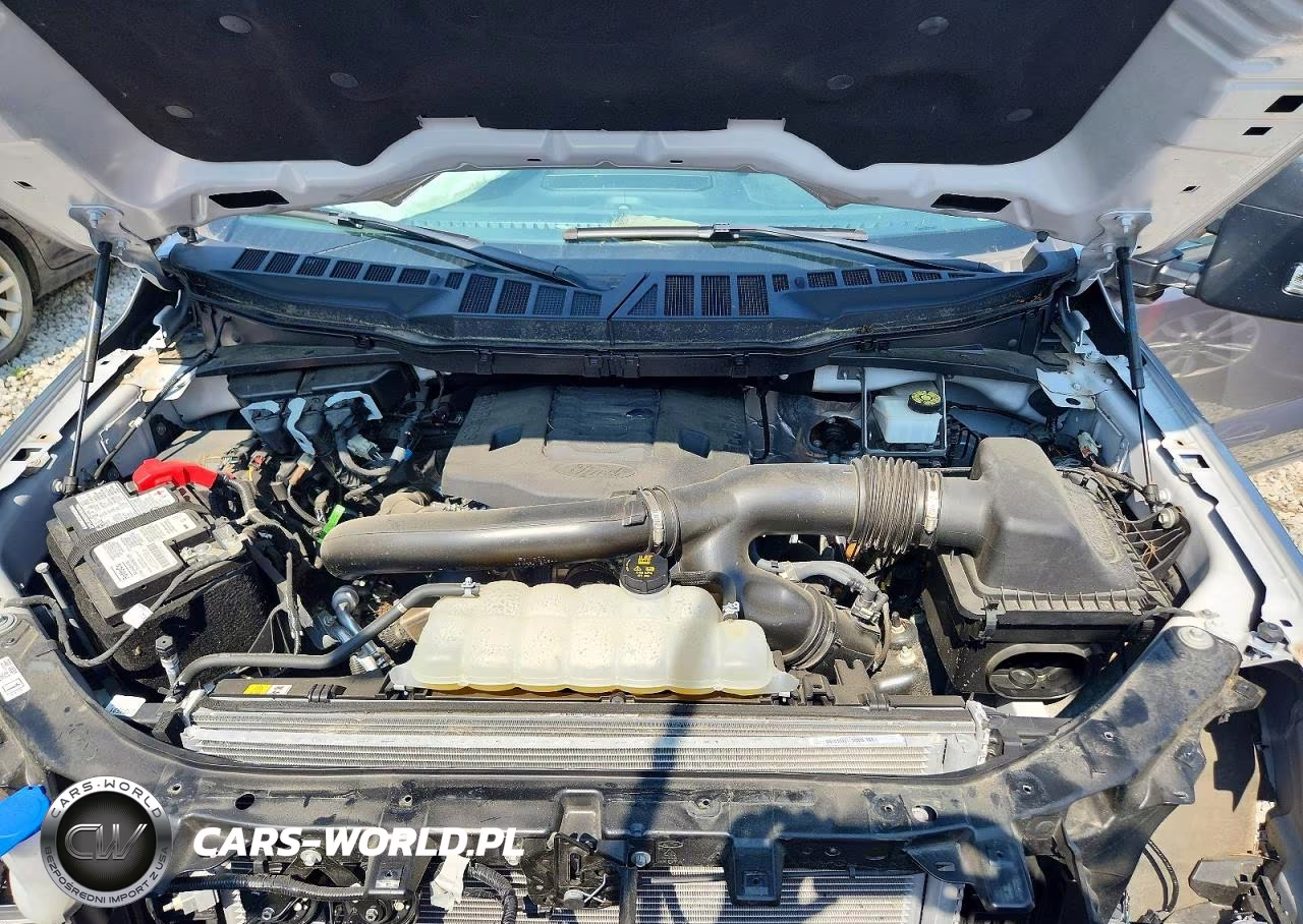 2023 Ford F150 Supercrew VIN:1FTFW1E87PFD30982 - 11