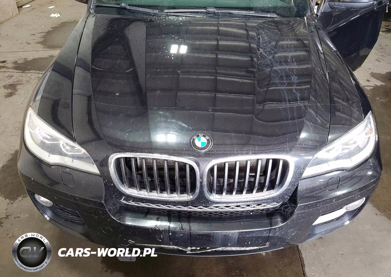 2014 BMW X6 xDrive35I VIN:5UXFG2C5XE0H11254 - 12