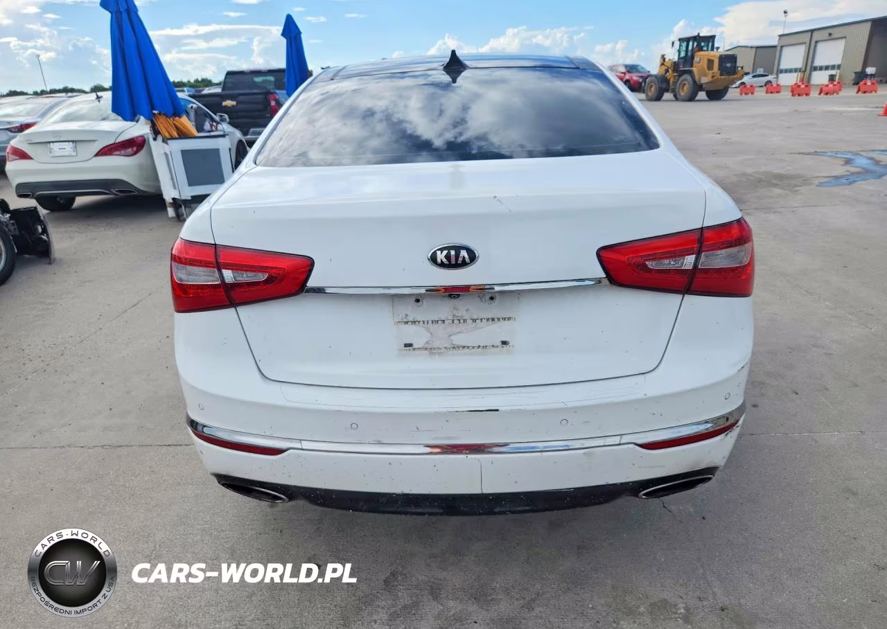 2015 Kia Cadenza Premium VIN:KNALN4D72F5174397 - 6