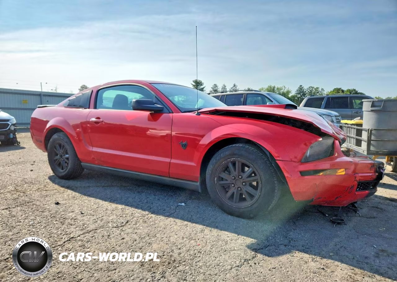 2009 Ford Mustang VIN:1ZVHT80N595141714 - 4