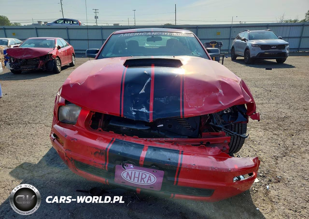 2009 Ford Mustang VIN:1ZVHT80N595141714 - 5