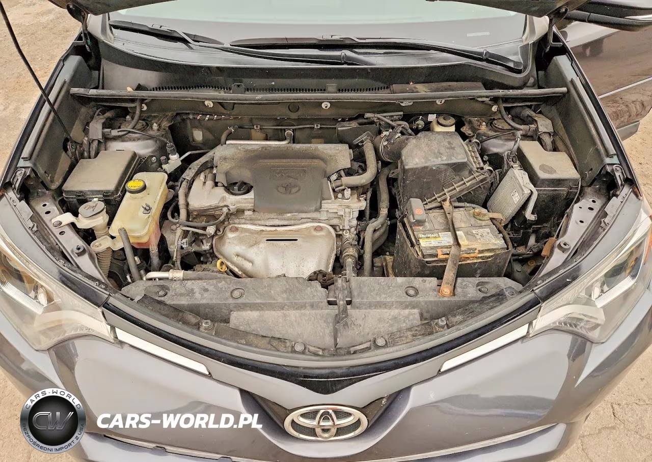 2016 Toyota Rav4 Xle VIN:2T3RFREV2GW462323 - 12