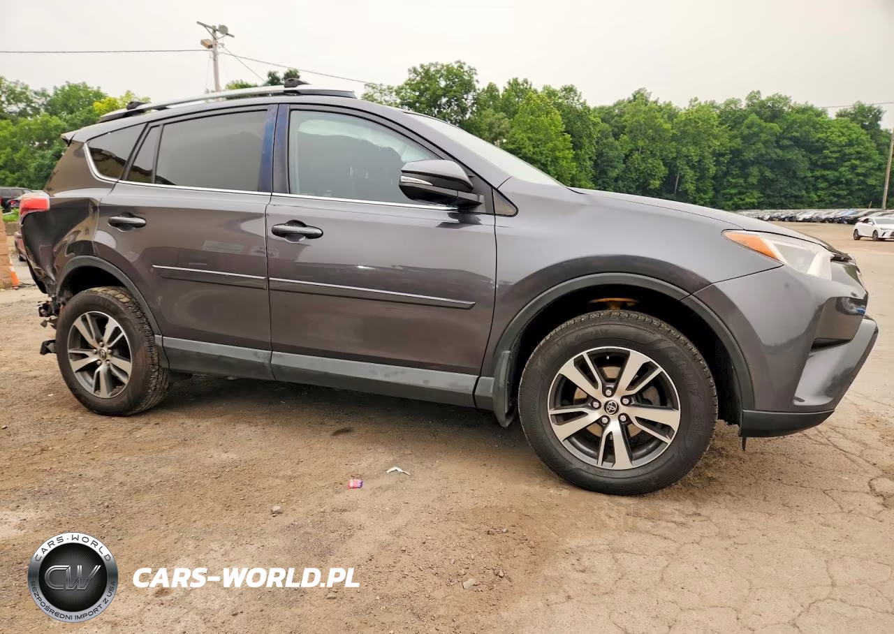 2016 Toyota Rav4 Xle VIN:2T3RFREV2GW462323 - 4