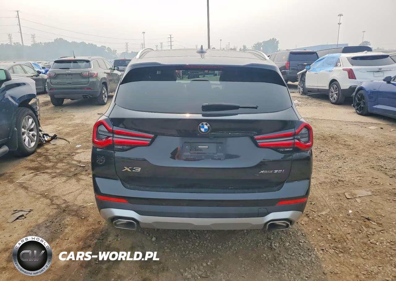 2023 BMW X3 xDrive30I VIN:5UX53DP08P9N63344 - 6