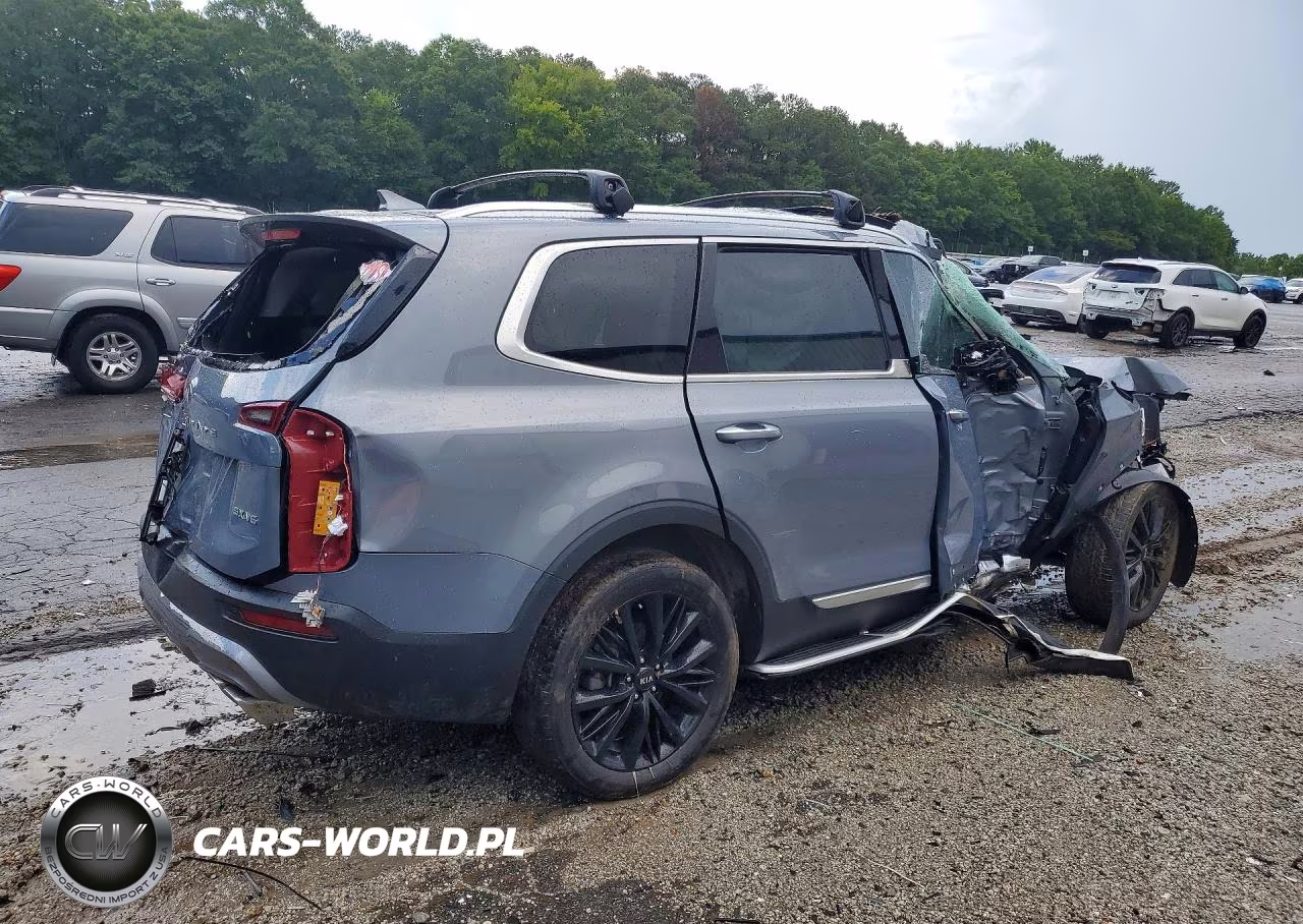 2021 Kia Telluride Sx VIN:5XYP54HC1MG154965 - 3