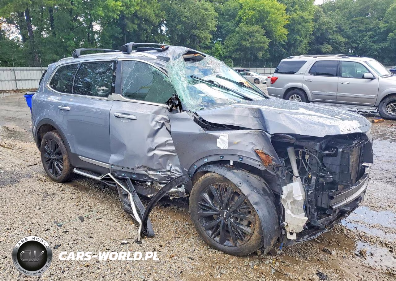 2021 Kia Telluride Sx VIN:5XYP54HC1MG154965 - 4