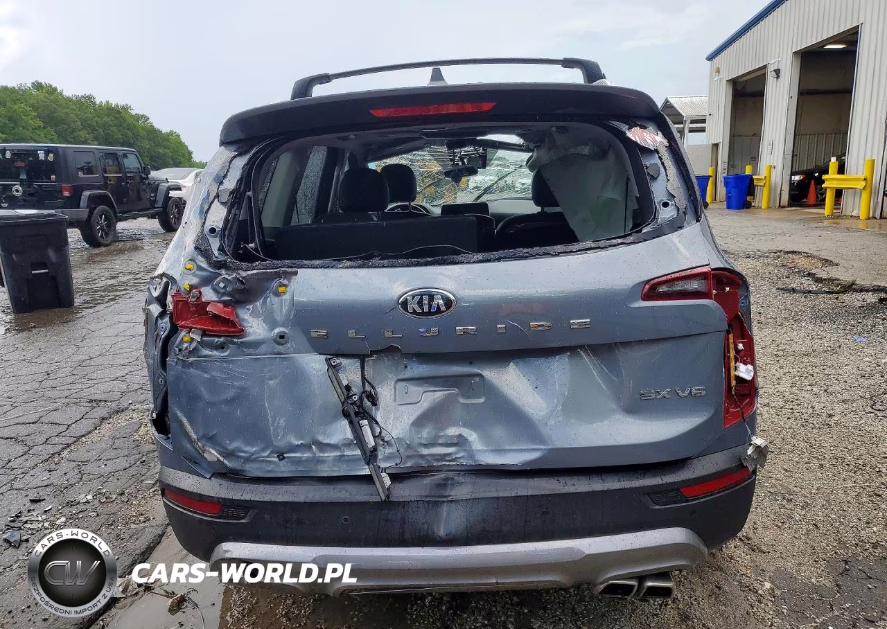 2021 Kia Telluride Sx VIN:5XYP54HC1MG154965 - 6
