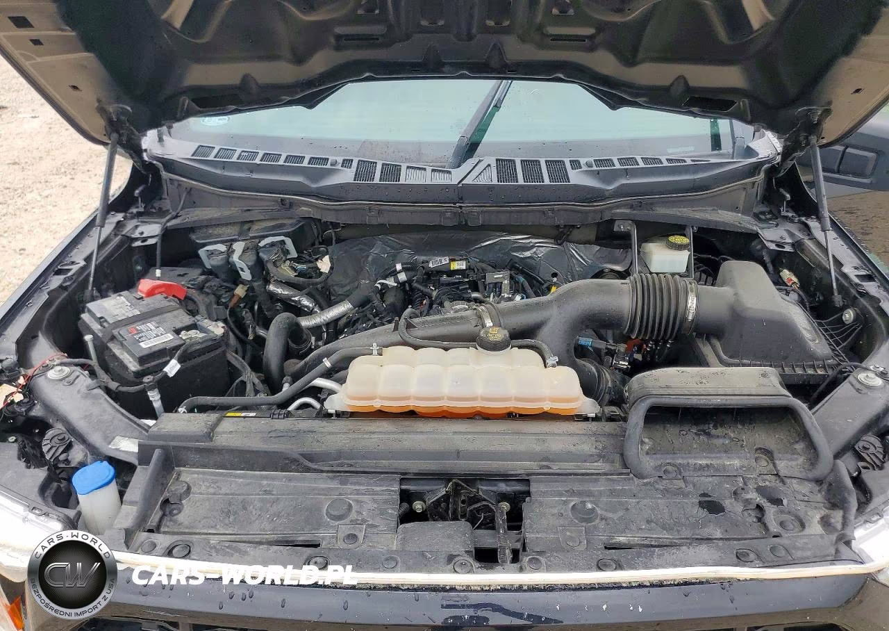 2021 Ford F150 Supercrew VIN:1FTEW1CP1MKF12315 - 11