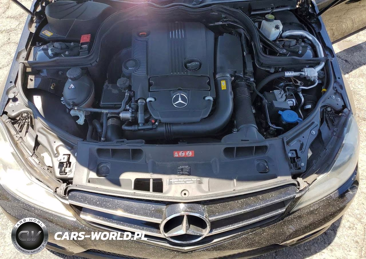 2015 Mercedes-Benz C 250 VIN:WDDGJ4HB7FG385734 - 11