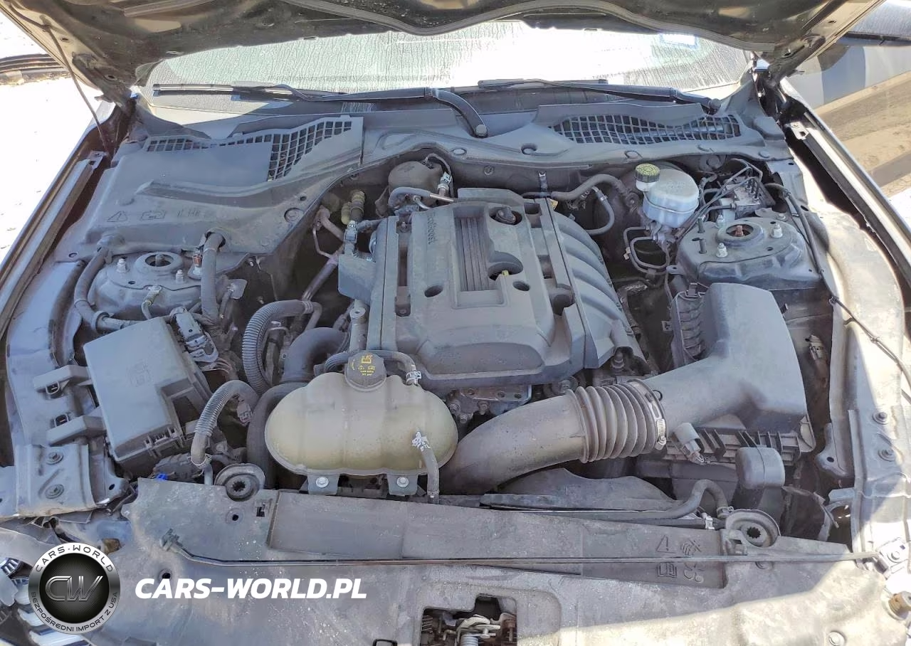 2020 Ford Mustang VIN:1FA6P8TH4L5146176 - 11