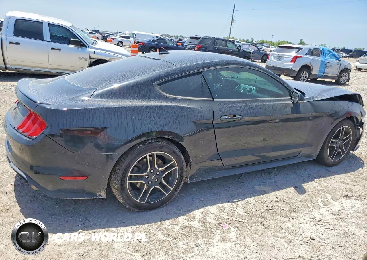 2020 Ford Mustang VIN:1FA6P8TH4L5146176 - 3