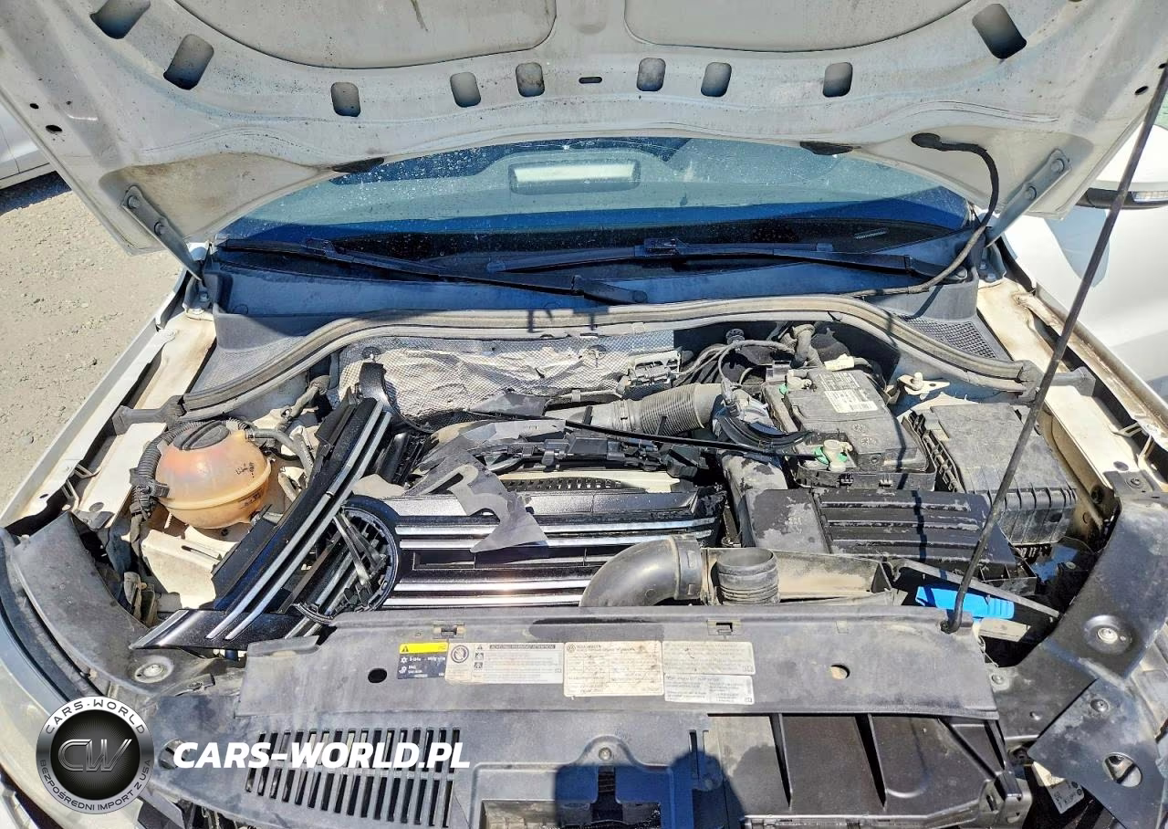 2016 Volkswagen Tiguan S VIN:WVGBV7AX3GW559561 - 12