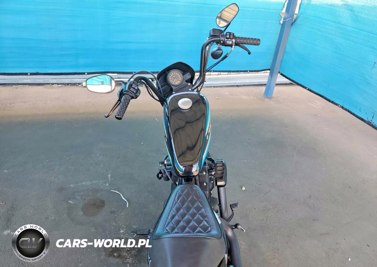 2019 Harley Davidson Sportster Xl 1200 VIN:1HD1LP338KC412712 - 6