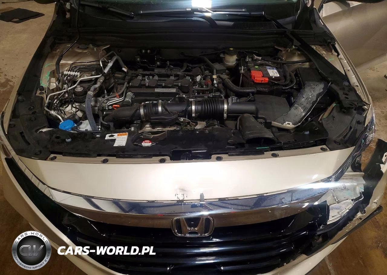 2019 Honda Accord Lx VIN:1HGCV1F12KA124936 - 11