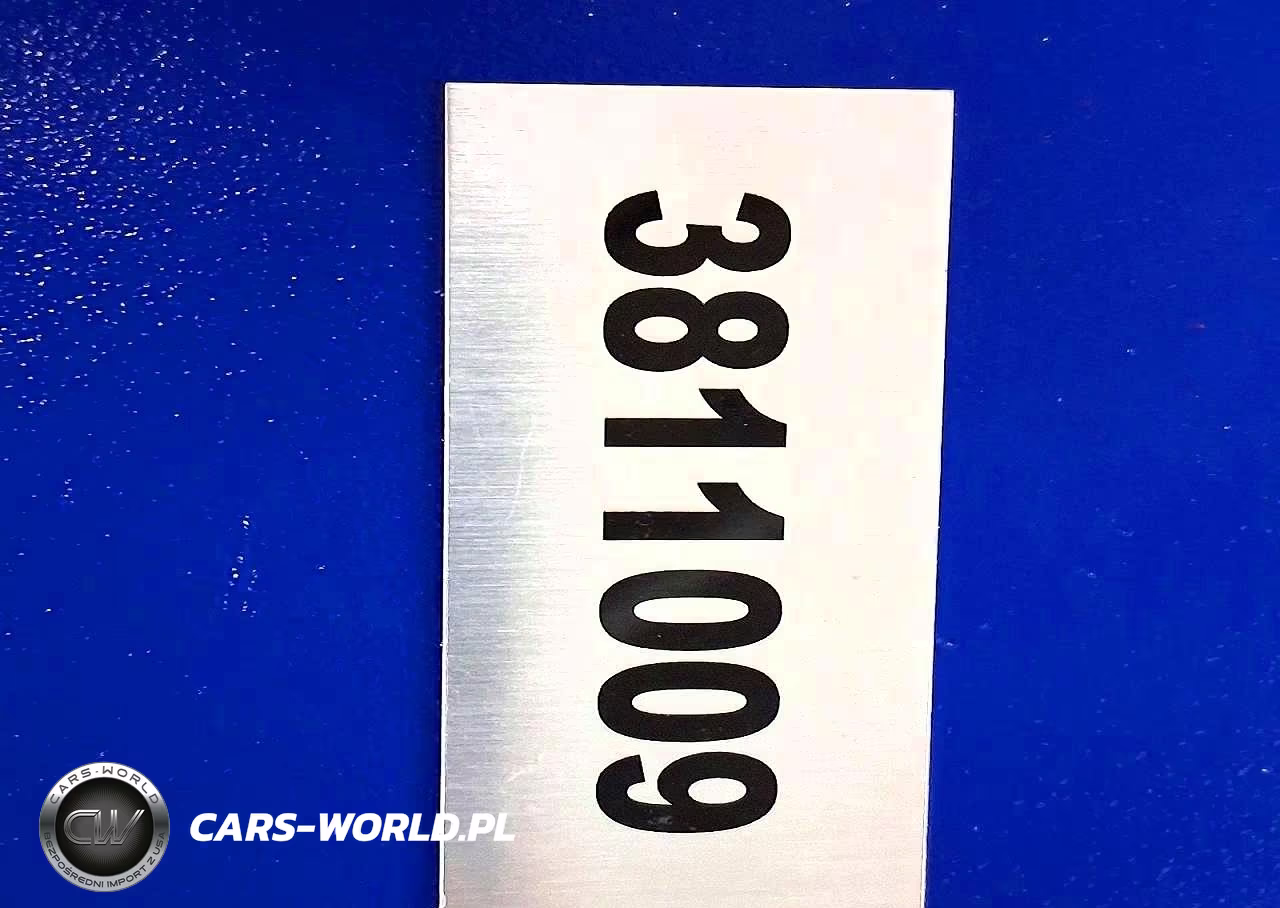 2025 OTHER HEAVY EQUIPMENT EXCAVATOR VIN:3811009 - 9