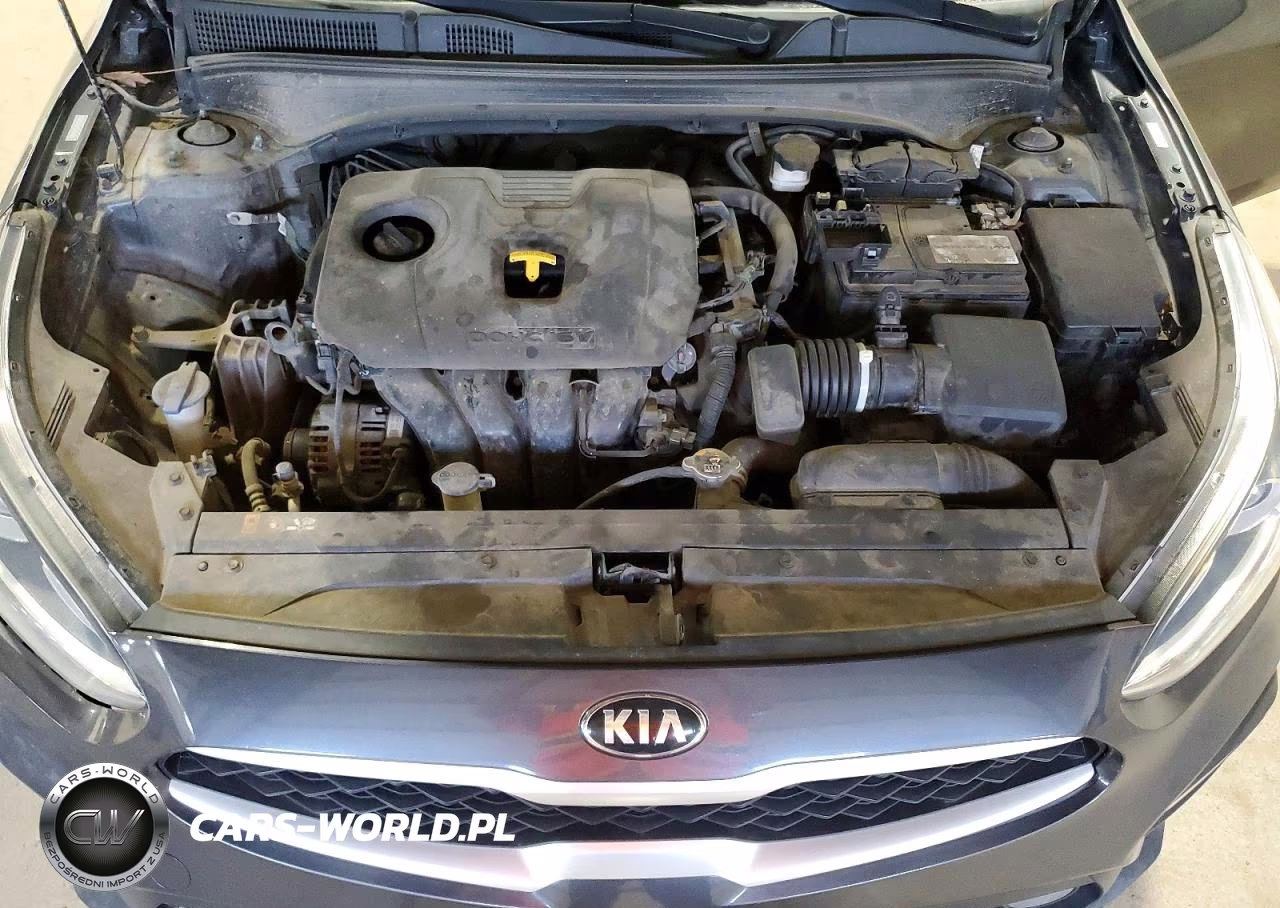 2020 Kia Forte Fe VIN:3KPF24AD7LE250246 - 11