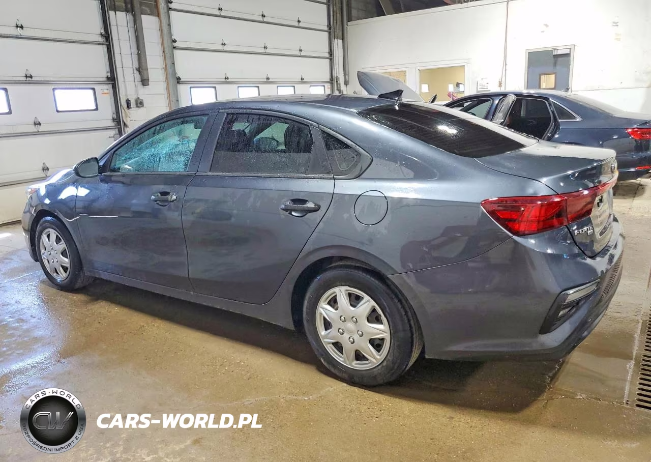 2020 Kia Forte Fe VIN:3KPF24AD7LE250246 - 2