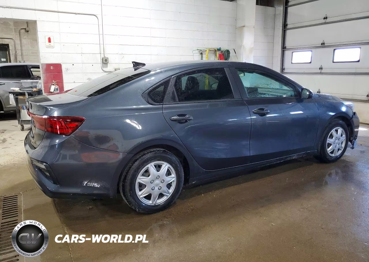 2020 Kia Forte Fe VIN:3KPF24AD7LE250246 - 3