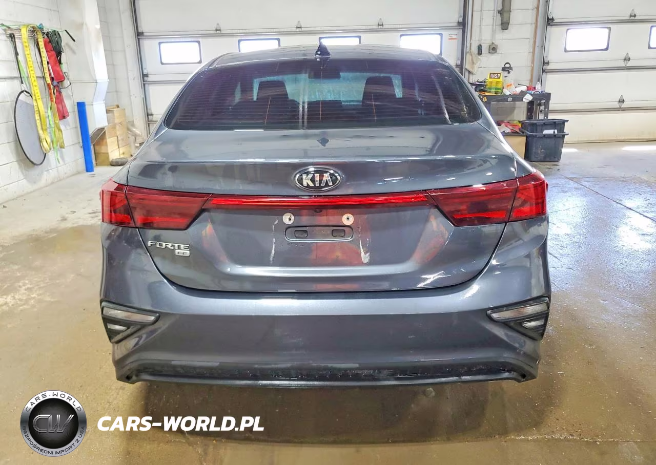 2020 Kia Forte Fe VIN:3KPF24AD7LE250246 - 6