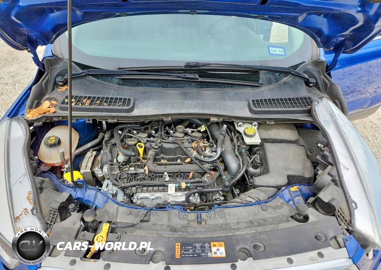 2019 Ford Escape Se VIN:1FMCU0GD6KUC52675 - 11