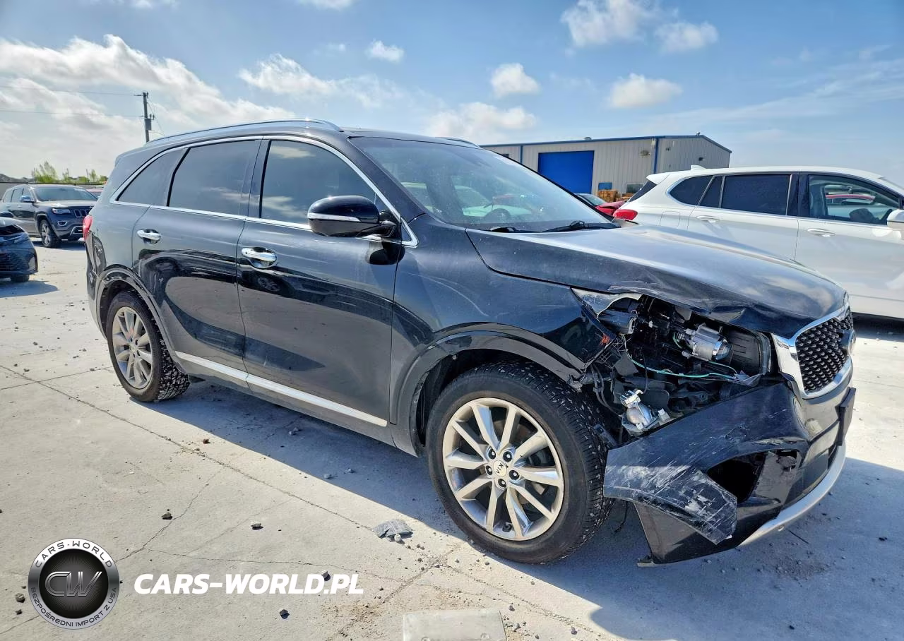 2016 Kia Sorento Sx Limited V6 VIN:5XYPK4A58GG116979 - 4