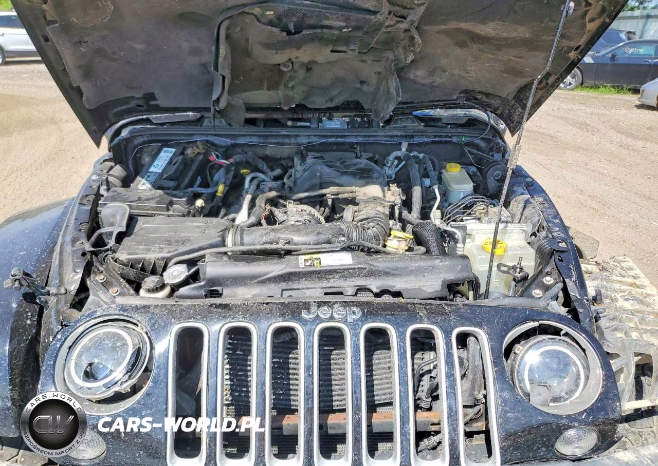 2016 Jeep Wrangler Unlimited Sahara VIN:1C4BJWEG0GL171354 - 12