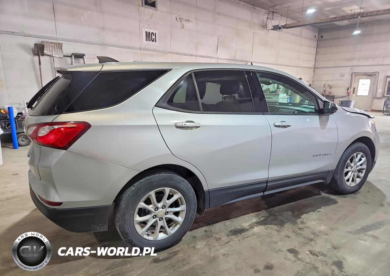 2019 Chevrolet Equinox Ls VIN:2GNAXHEV2K6215920 - 3