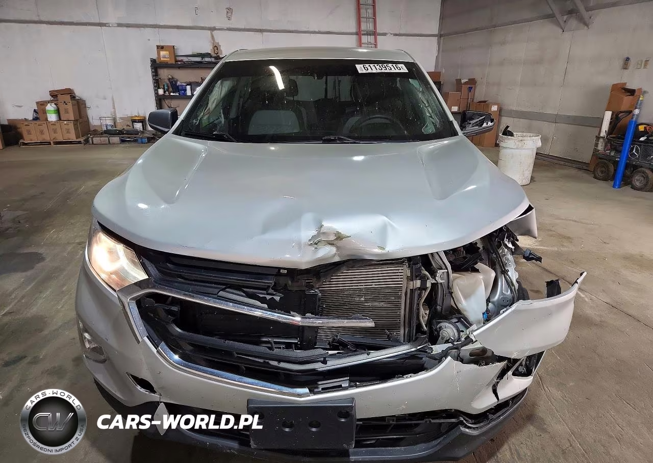 2019 Chevrolet Equinox Ls VIN:2GNAXHEV2K6215920 - 5