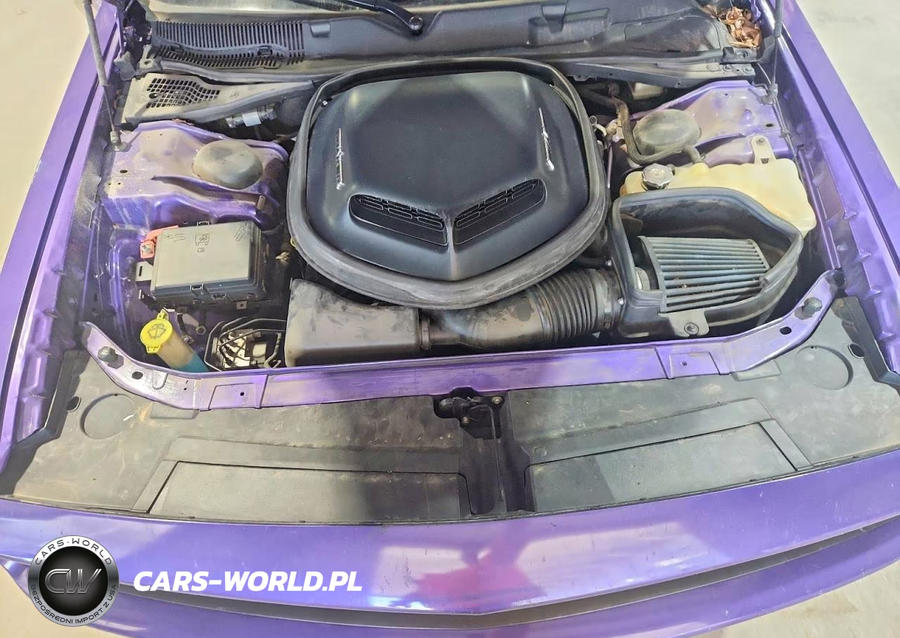 2016 Dodge Challenger VIN:2C3CDZBT6GH166126 - 11