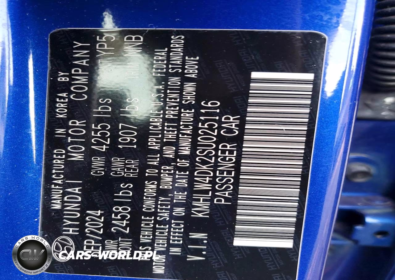 2025 Hyundai Elantra N Base VIN:KMHLW4DK2SU025116 - 12