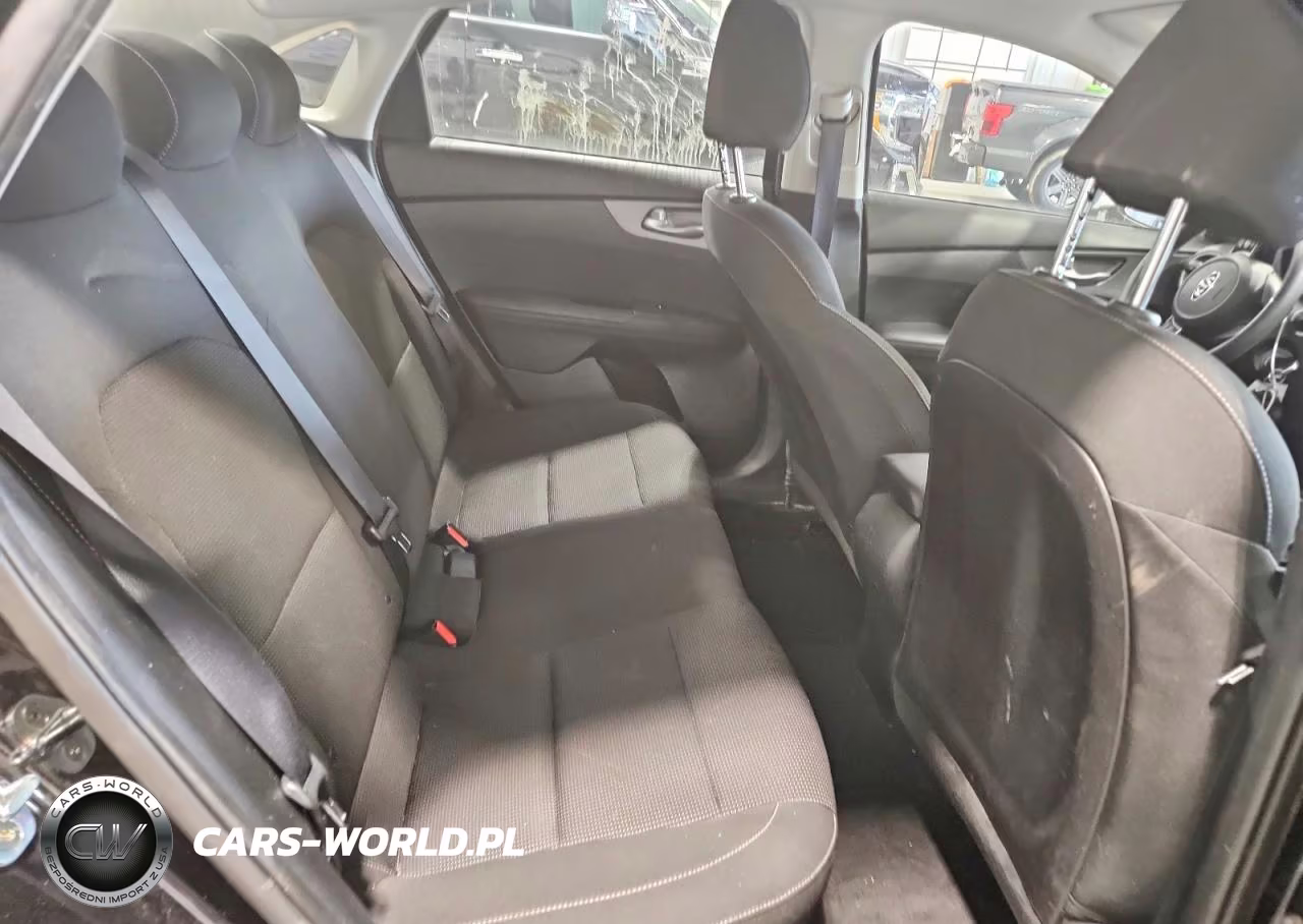 2020 Kia Forte Fe VIN:3KPF24ADXLE207522 - 10